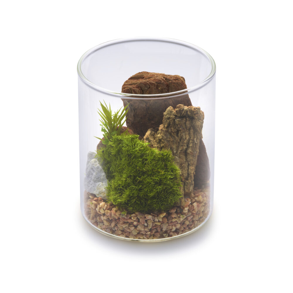 苔プリ｜苔プリ ガラスポット 8.5cm ローズピンク(11171KP)