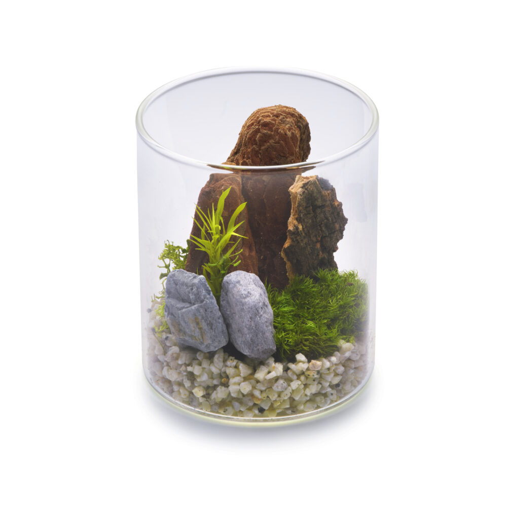 苔プリ｜苔プリ ガラスポット8.5cm ホワイト(11173KP)